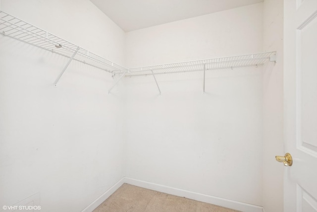 44 N Vail Ave Unit 313, Arlington Heights, IL 60005 - walk in closet featuring light carpet