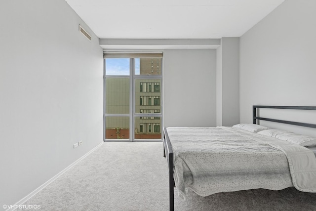 1000 W Leland Ave Unit 5C, Chicago, IL 60640 - bedroom featuring carpet floors and baseboards