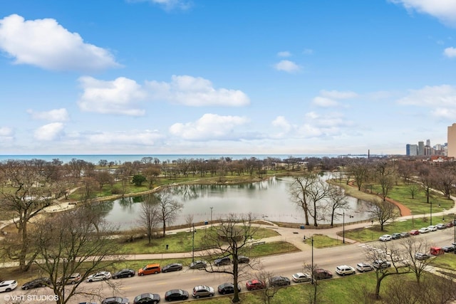 2550 N Lakeview Ave Unit N903, Chicago, IL 60614 - water view