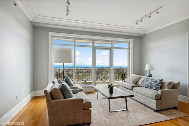 2550 N Lakeview Ave Unit N903, Chicago, IL 60614 - living area featuring track lighting, ornamental molding, light wood-style flooring, healthy amount of natural light, and baseboards