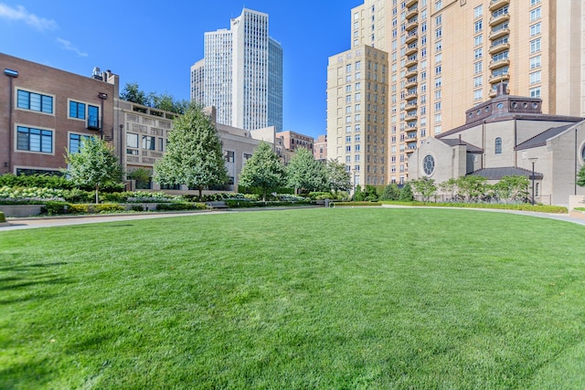 2550 N Lakeview Ave Unit N903, Chicago, IL 60614 - view of home's community with a yard