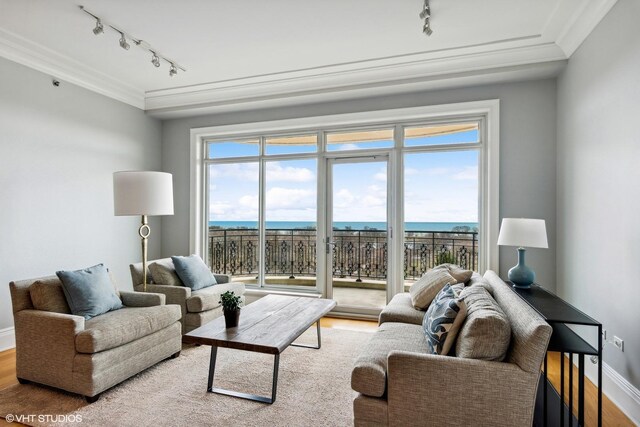 2550 N Lakeview Ave Unit N903, Chicago, IL 60614 - living area with rail lighting, wood finished floors, crown molding, baseboards, and a water view