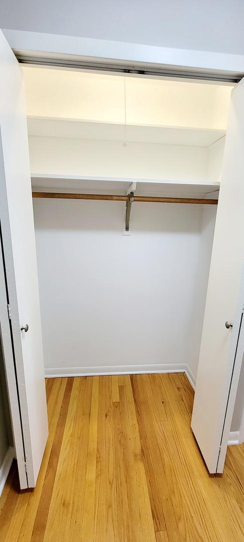 1353 Perry St Unit 6, Des Plaines, IL 60016 - view of closet