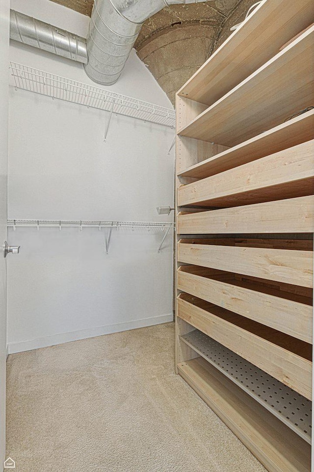 1111 W 14th Pl Unit 211, Chicago, IL 60608 - walk in closet with carpet floors