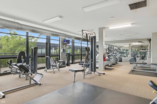 1111 W 14th Pl Unit 211, Chicago, IL 60608 - workout area with carpet