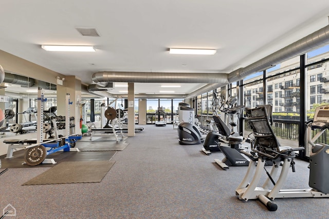 1111 W 14th Pl Unit 211, Chicago, IL 60608 - view of exercise room