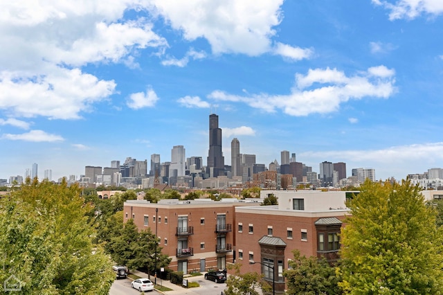 1111 W 14th Pl Unit 211, Chicago, IL 60608 - skyline view