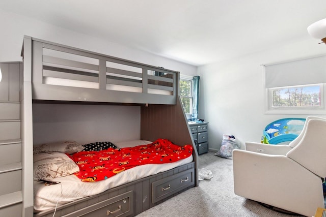6100 Ridgeway Dr, Woodridge, IL 60517 - bedroom with light carpet