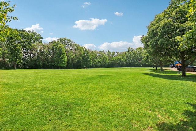 6100 Ridgeway Dr, Woodridge, IL 60517 - view of grassy yard