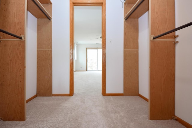 50 Ridgewood Rd, Elk Grove Village, IL 60007 - spacious closet featuring carpet flooring