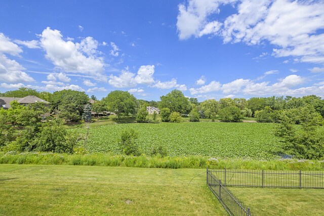 9836 Circle Pkwy, Palos Park, IL 60464 - view of yard