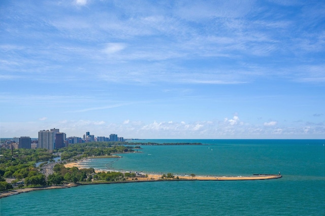 990 N Lake Shore Dr Unit 33E, Chicago, IL 60611 - water view with nearby urban area