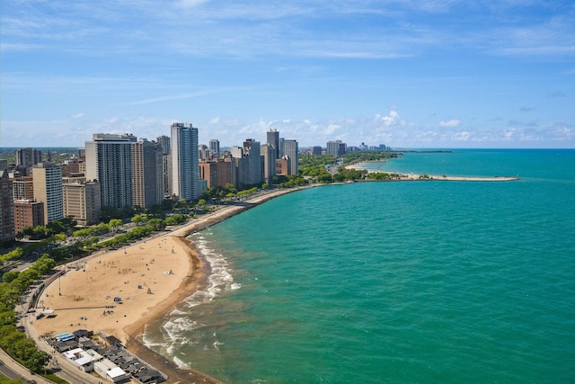 990 N Lake Shore Dr Unit 33E, Chicago, IL 60611 - aerial view of extended coastline and city skyline