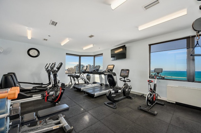 990 N Lake Shore Dr Unit 33E, Chicago, IL 60611 - gym with radiator