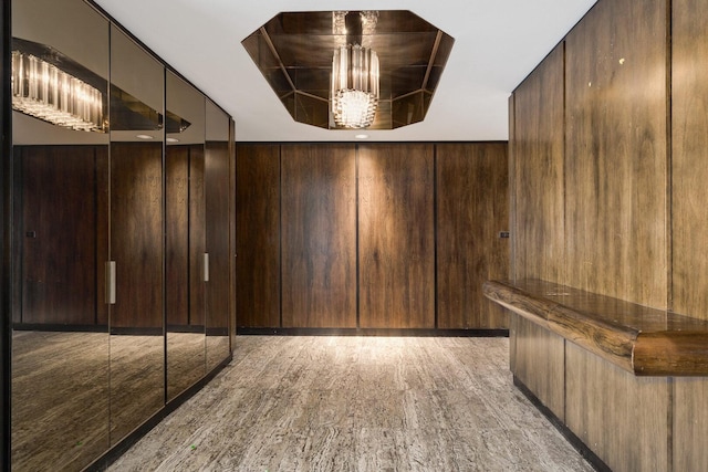 990 N Lake Shore Dr Unit 33E, Chicago, IL 60611 - spacious closet featuring light wood-style floors