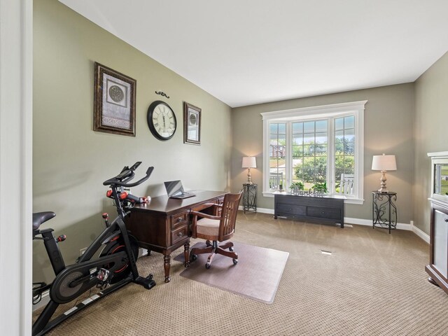 1807 Black Oak Dr, Mchenry, IL 60050 - photo 17