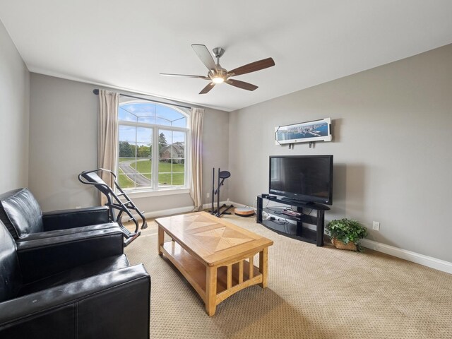 1807 Black Oak Dr, Mchenry, IL 60050 - photo 27