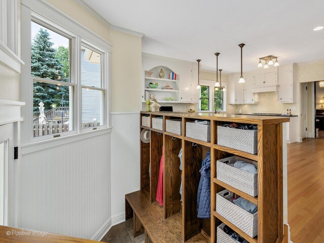 412 7th Ave, La Grange, IL 60525 - mudroom featuring a wainscoted wall and ornamental molding