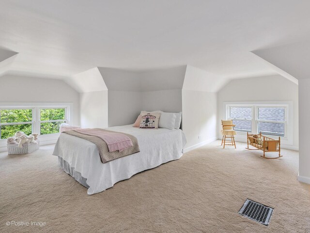 412 7th Ave, La Grange, IL 60525 - carpeted bedroom with vaulted ceiling and multiple windows