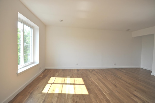 1455 Shermer Rd Unit 506, Northbrook, IL 60062 - spare room with wood finished floors and baseboards