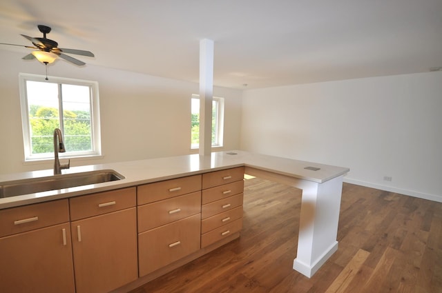 1455 Shermer Rd Unit 506, Northbrook, IL 60062 - kitchen with a sink, dark wood-style flooring, ceiling fan, and light countertops