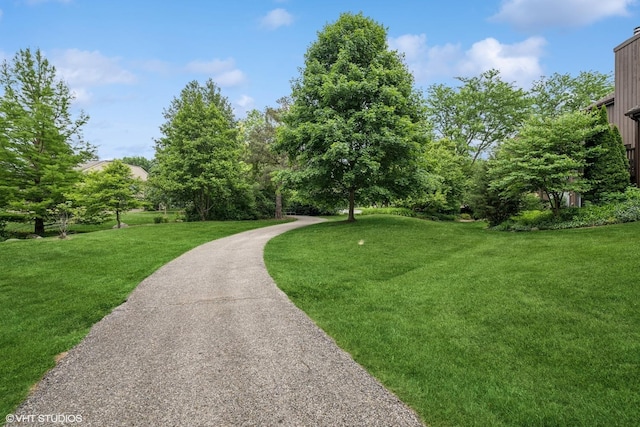 313 Woodview Rd, Lake Barrington, IL 60010 - photo 36