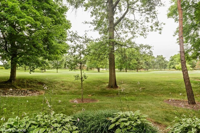 313 Woodview Rd, Lake Barrington, IL 60010 - photo 41