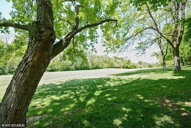 313 Woodview Rd, Lake Barrington, IL 60010 - photo 45