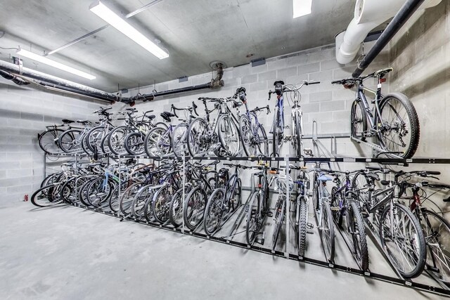 111 S Morgan St Unit 709, Chicago, IL 60607 - garage featuring bike storage and concrete block wall