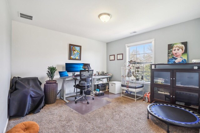 779 W Mystic Ln, Romeoville, IL 60446 - view of carpeted office