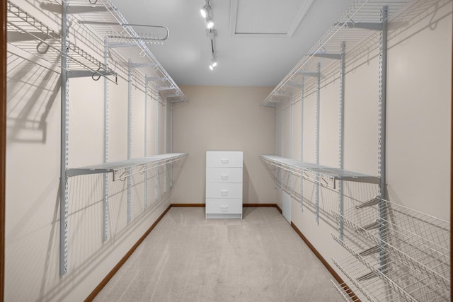 1291 Acorn Ct, Sleepy Hollow, IL 60118 - spacious closet featuring carpet