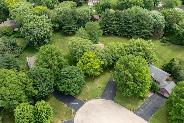 1291 Acorn Ct, Sleepy Hollow, IL 60118 - drone / aerial view