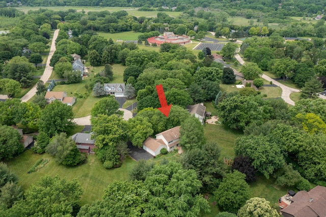 1291 Acorn Ct, Sleepy Hollow, IL 60118 - bird's eye view of a tree filled landscape