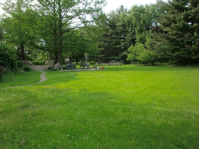 1291 Acorn Ct, Sleepy Hollow, IL 60118 - view of grassy yard