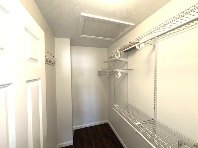 3905 Shasta Dr, Bloomington, IL 61705 - photo 10