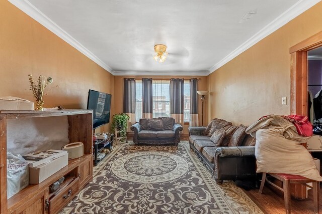 1909 Harvey Ave, Berwyn, IL 60402 - living area featuring ornamental molding and wood finished floors