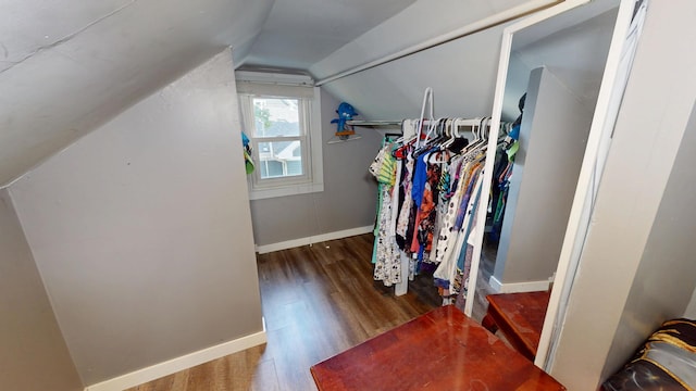 130 Syril Dr, Geneva, IL 60134 - spacious closet with wood finished floors and lofted ceiling