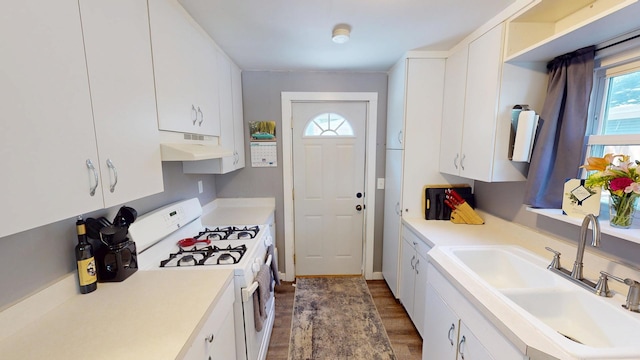 130 Syril Dr, Geneva, IL 60134 - kitchen with white gas range, under cabinet range hood, wood finished floors, light countertops, and white cabinets