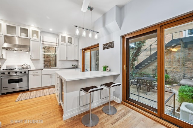 1636 N Cleveland Ave, Chicago, IL 60614 - kitchen with premium range, exhaust hood, light wood finished floors, decorative backsplash, and white cabinets
