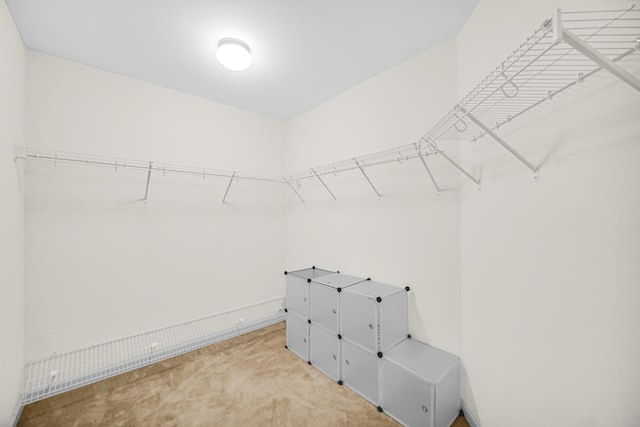 192 Owen St, Matteson, IL 60443 - spacious closet with light carpet