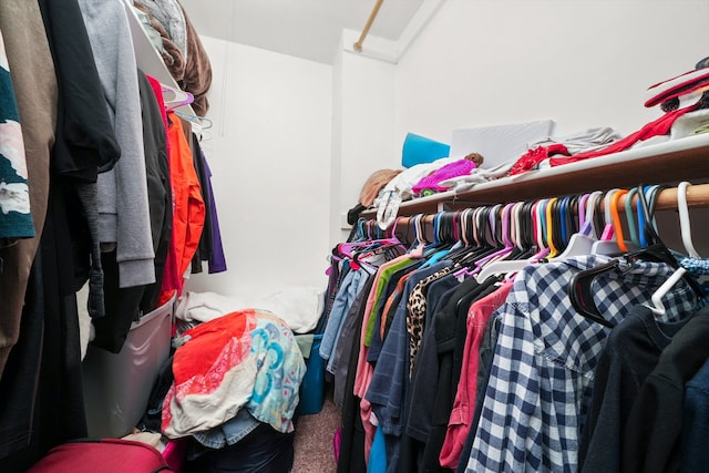136 Anita Dr, Bourbonnais, IL 60914 - walk in closet with carpet floors