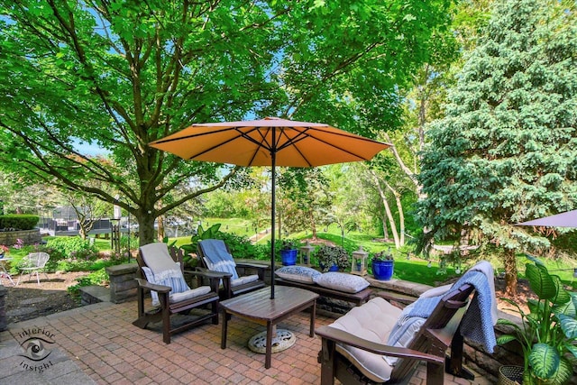 21048 Tall Grass Dr, Mokena, IL 60448 - view of patio