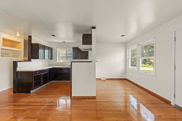 4537 Fishermans Ter, Lyons, IL 60534 - kitchen featuring light wood-type flooring, dark brown cabinets, and light countertops