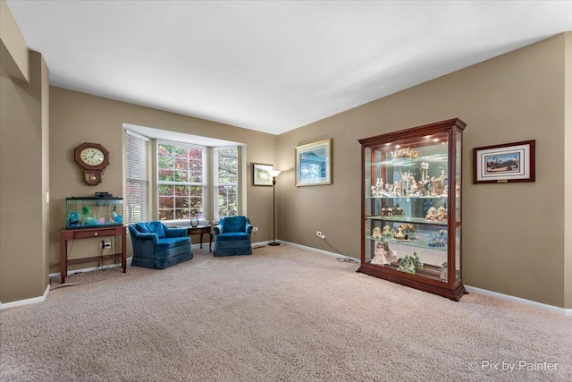 585 Waterford Rd, Elgin, IL 60124 - photo 9