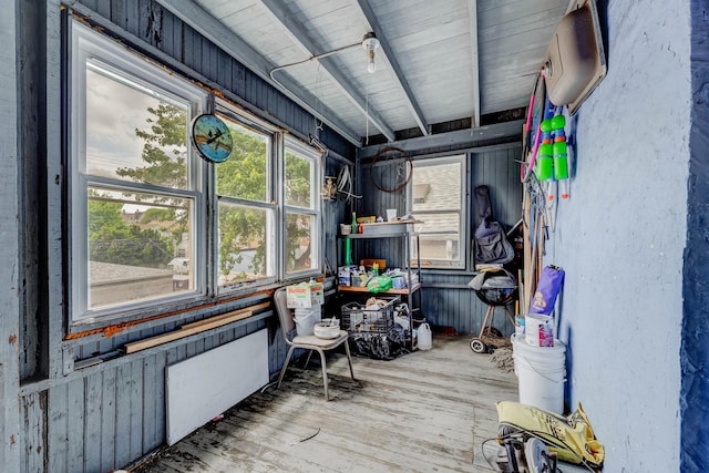 2227 W 21st St, Chicago, IL 60608 - view of storage