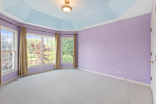 7N001 Ridge Line Rd, Saint Charles, IL 60175 - unfurnished room featuring a tray ceiling and carpet flooring