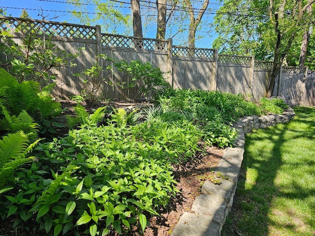 213 W Park Ave, Wheaton, IL 60189 - view of yard