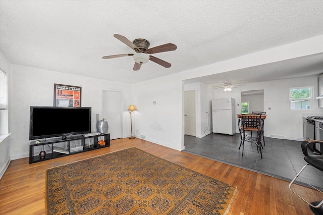 345 W Joe Orr Rd, Chicago Heights, IL 60411 - living room with a ceiling fan, wood finished floors, and a textured ceiling
