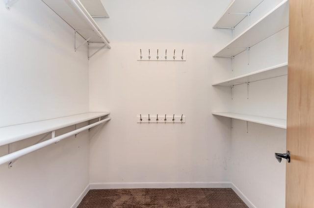 262 Jennifer Ln Unit 262, Wilmington, IL 60481 - walk in closet with carpet