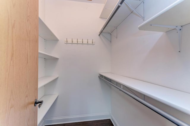262 Jennifer Ln Unit 262, Wilmington, IL 60481 - view of walk in closet